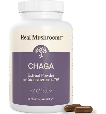 Hongo Chaga Orgánico "Soporte Digestivo". 4 opc