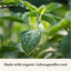 Gaia Herbs, Raíz de Ashwagandha. 180  cápsulas líquidas