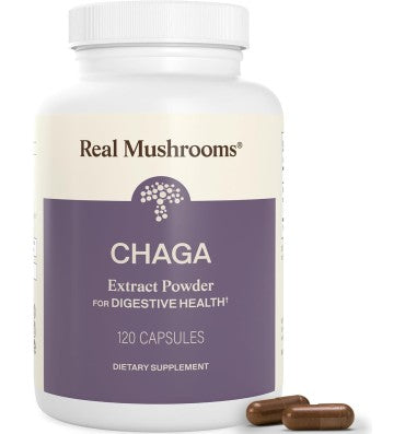 Hongo Chaga Orgánico "Bienestar Femeninoorte Digestivo". 4 opc