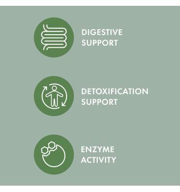 Mezcla de Hongos Fermentados Perros y Gatos, apoyo Digestivo e Inmune. 60 gr.