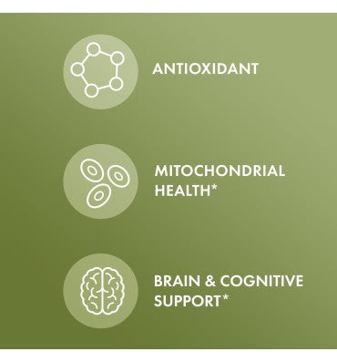 Ginkgo Biloba Orgánico con NeuroFactor, soporte Cognitivo. 30 caps