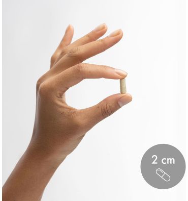 Zinc y Selenio, salud en General. 2 opciones