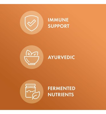 Extracto de Raíz de Cúrcuma Avanzada 500 mg. 2 opc