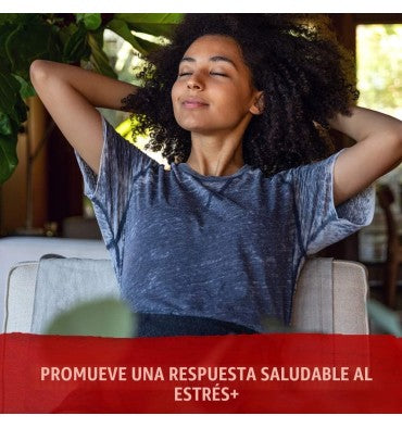 Garden of Life Organics, Ashwagandha y Gengibre Orgánico. 60 Vtabs