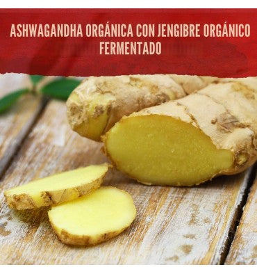 Garden of Life Organics, Ashwagandha y Gengibre Orgánico. 60 Vtabs