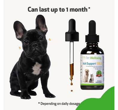Soporte para Comezón en Perros y Gatos. 118 ml.