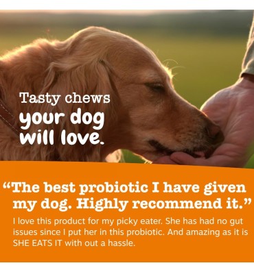 Senior Advanced Gut Health. Probioticos y Enzimas Digestivas, soporte Sistema Digestivo. 90 chews