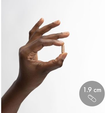 Sleep Support con Melatonina 10 mg. 30 caps.