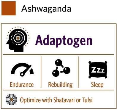 Ashwagandha Orgánica, Manejo de Estrés. 2 opciones