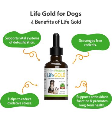 Suplemento Life Gold contra Cancer para Perros y Gatos. 59 ml.