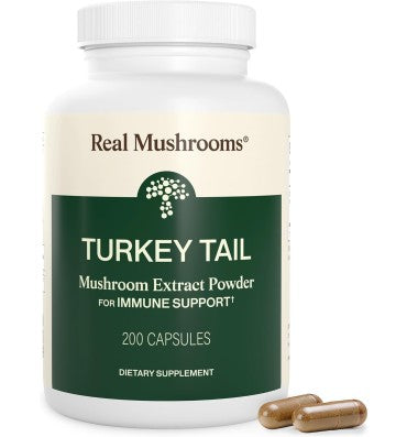 "Immune Support"; Extracto de Hongo Turkey Tail Orgánico. 4 opc