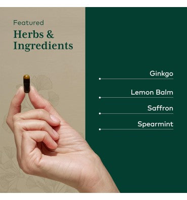 Nootropic Focus Brain Health Support Supplement. 40 Vcaps