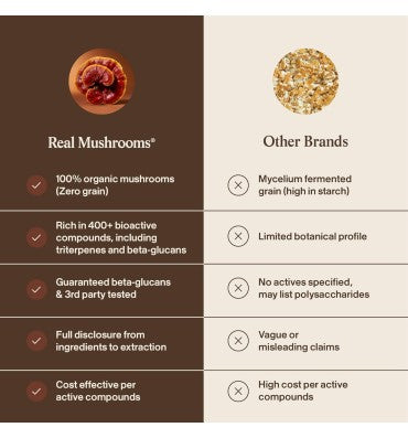 Extracto de Hongo Reishi Orgánico "Longevity". 4 opc