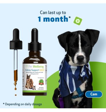 Soporte Renal Gold para Perros y Gatos. 2 oz.