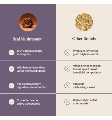 "Digestive Health"; Extracto de Hongo Chaga Orgánico. 60 gr