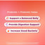 OLLY, Prebiotic and Probiotic, soporte sistema Digestivo sabor Durazno. 30 y 60 gomitas