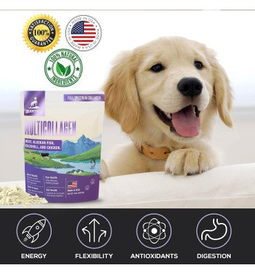 Péptidos de Multicolágeno para Perros. 283.5 gr