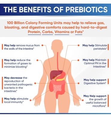 Probióticos RAW Orgánicos para Adulto 100 billion, 30 caps