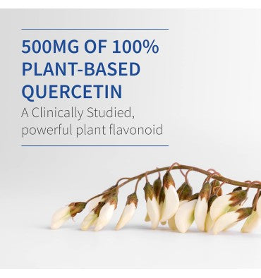 Garden of Life Dr. Formulated, Quercetina soporte Recuperación Muscular con Zinc y Cúrcuma. 30 tabletas