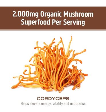 Hongos Cordyceps Energía y Rendimiento. 90 caps.