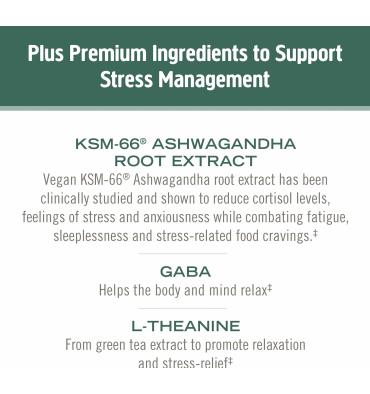 Mezcla de Hongos Relax, Reishi, Aswaghandha, Gaba, Magnesio. 90 unidades