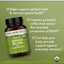 Ginkgo Biloba Orgánico con NeuroFactor, soporte Cognitivo. 30 caps