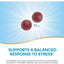 Nature's Way, Ashwagandha sabor Berries. 90 gomitas