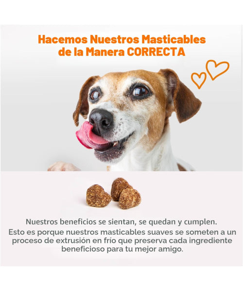 Zesty Paws, 8 in 1 Multivitamin Bites, para Perros sabor crema de cacahuate. 90 chews