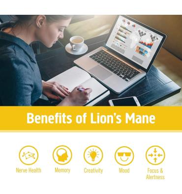 Hongo Melena de León, Memoria, Concentración y Salud Nerviosa. 90 caps.