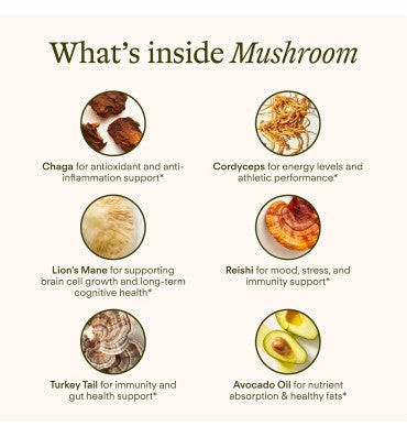 Functional Mushroom 800mg of Five Mushrooms. 30 pack