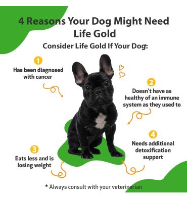 Suplemento Life Gold contra Cancer para Perros y Gatos. 59 ml.