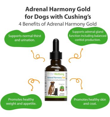 Soporte Adrenal Gold para Perros y Gatos con Cushing. 59 ml.