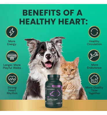 VetriScience, Omega Healthy Heart (Cardio Strength) para perros y gatos, omega 3, taurina, L-carnitina y CoQ10, 90 cápsulas