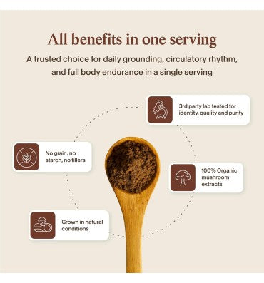 "Longevity"; Extracto de Hongo Reishi Orgánico . 45 gr
