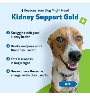 Soporte Renal Gold para Perros y Gatos. 2 oz.