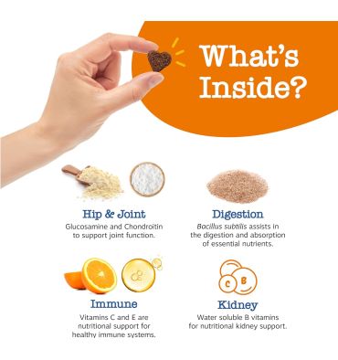 Suplemento Multifuncional 11 en 1 para perros. 90 chews