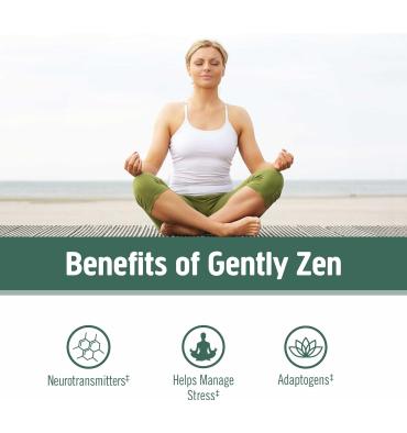 Mezcla de Hongos Relax, Reishi, Aswaghandha, Gaba, Magnesio. 90 unidades