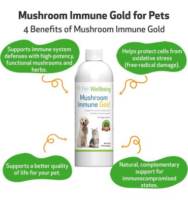 Apoyo Holístico contra el Cancer a base de Hongos. 236 ml.