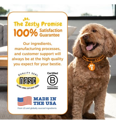 Senior Advanced Gut Health. Probioticos y Enzimas Digestivas, soporte Sistema Digestivo. 90 chews