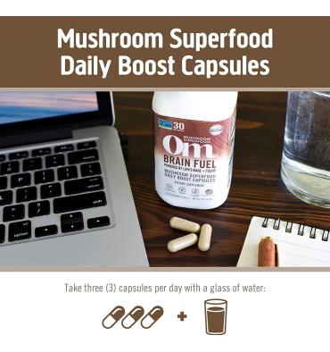 Mezcla de Hongos Orgánicos Brain Fuel, Melena de León, Reishi y Folato. 90 caps.