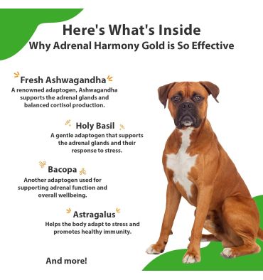 Soporte Adrenal Gold para Perros y Gatos con Cushing. 59 ml.