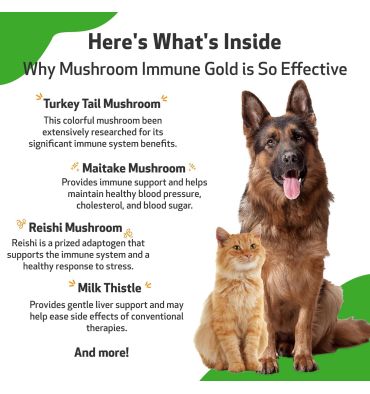 Apoyo Holístico contra el Cancer a base de Hongos. 236 ml.