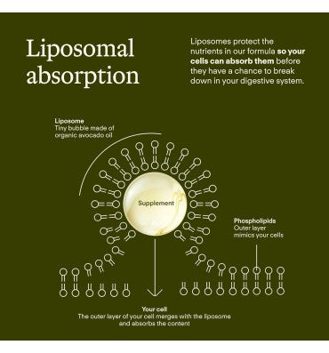 Functional Mushroom 800mg of Five Mushrooms. 30 pack