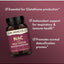 NAC with Milk Thistle 500 mg. 2 opciones