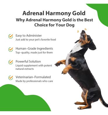 Soporte Adrenal Gold para Perros y Gatos con Cushing. 59 ml.