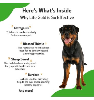 Suplemento Life Gold contra Cancer para Perros y Gatos. 59 ml.