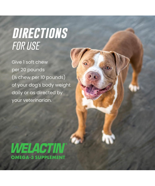 Nutramax, Welactin Daily Omega-3, EPA + DHA + betaglucanos para perros, 60 masticables blandos