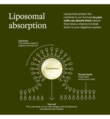 Brain Health Supplement, 30 pack