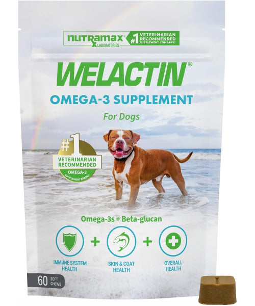 Nutramax, Welactin Daily Omega-3, EPA + DHA + betaglucanos para perros, 60 masticables blandos
