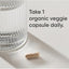 Sports Research, Ashwagandha Orgánica KSM-66. 90 caps.